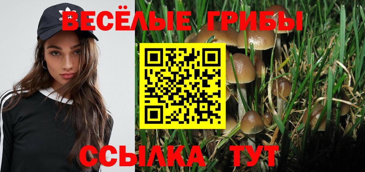 Псилоцибиновые грибы мухоморы  Вход с VPN  Скопин  Галлюциногенные грибы мухоморы 